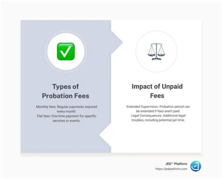 Can I pay my probation fees online in NJ?