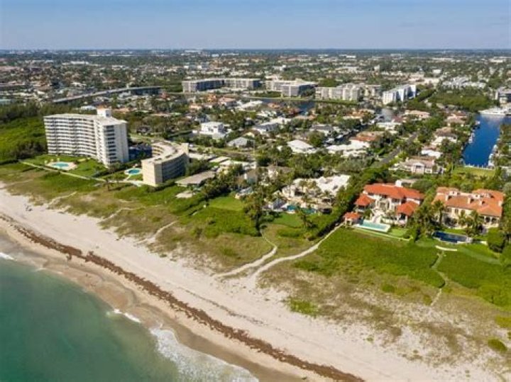 SUMMER CAMP - Art-Sea Living Studio | Macaroni KID Boynton Beach