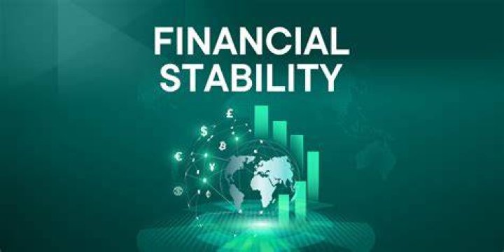 What does the Financial Stability Council do?