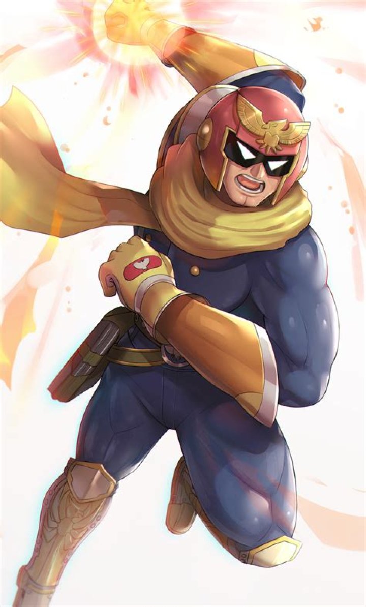 What fighting style is Captain Falcon?