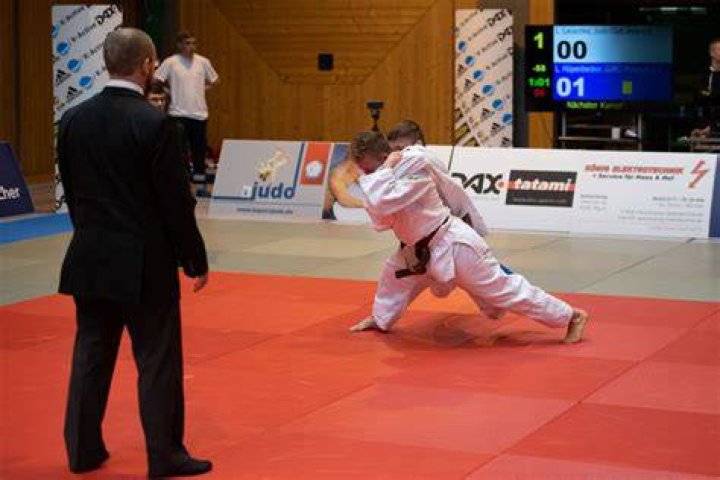What is a judo bot?