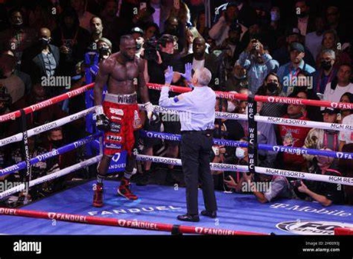 What is a standing count in boxing?