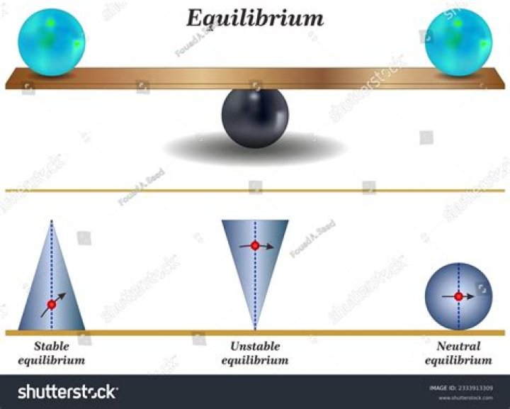 What is a system in equilibrium physics?
