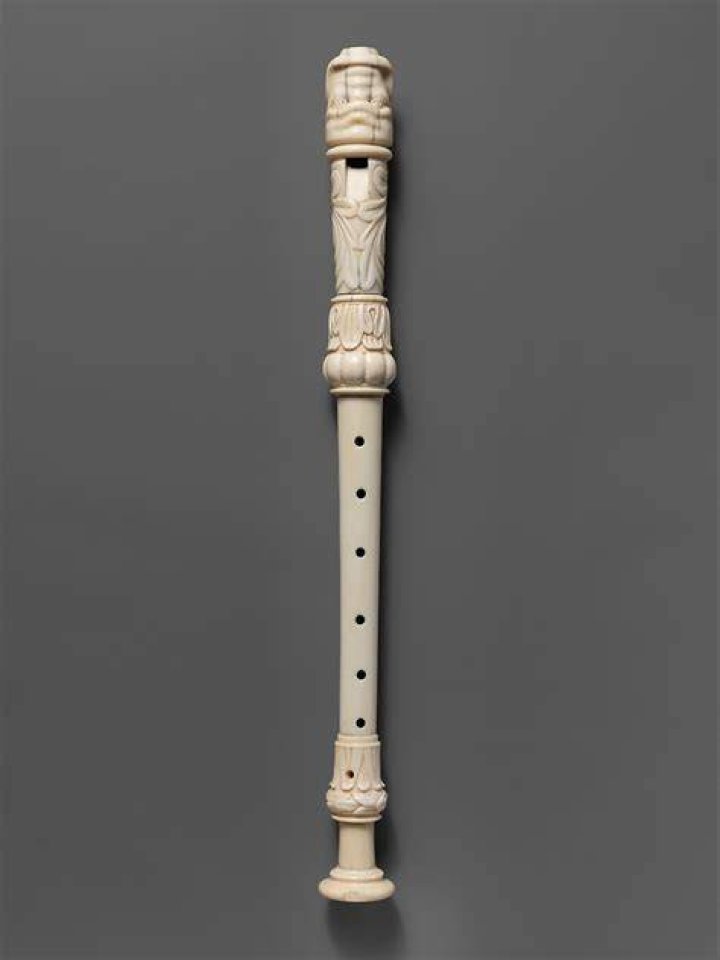What is the most expensive recorder instrument?