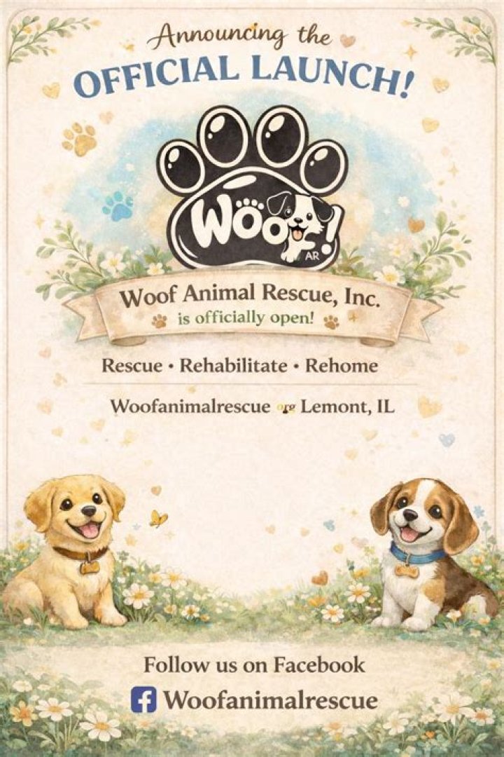 What is Woof animal rescue?